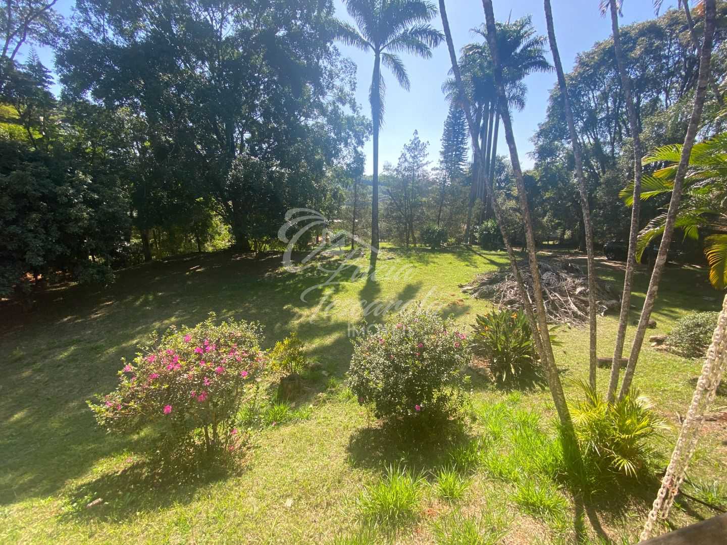 FOTO_10 - 10