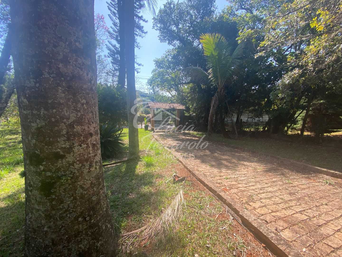 FOTO_5 - 5