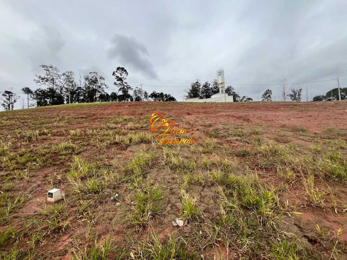 WhatsApp Image 2025-02-27 at 0 - 5