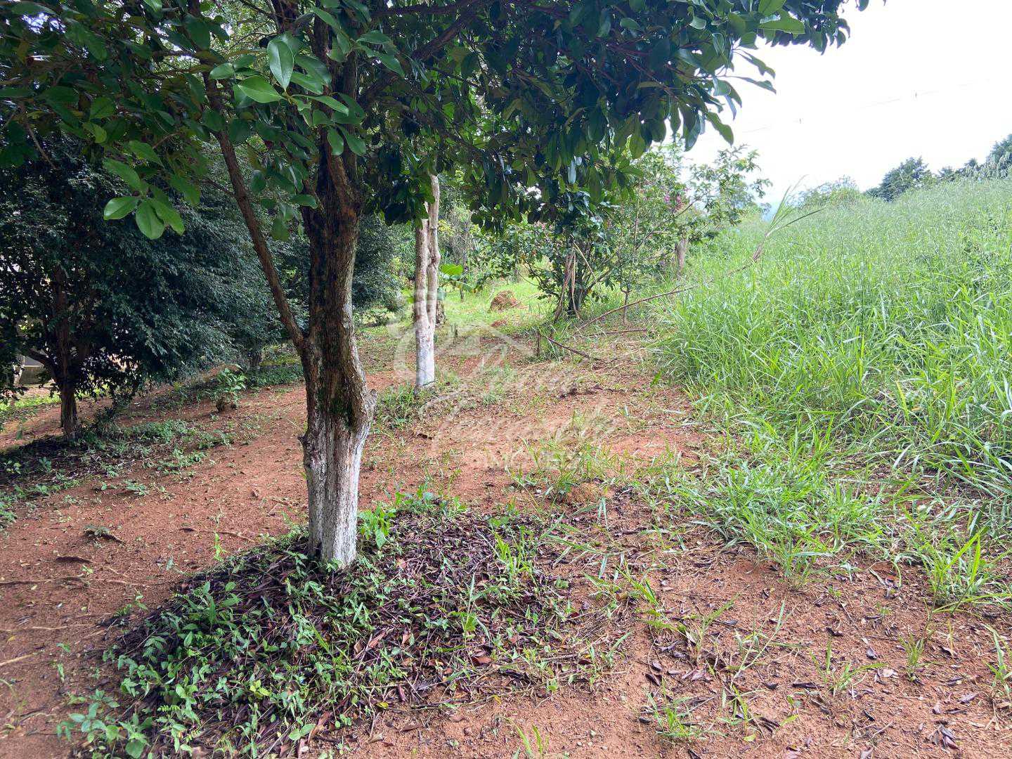 Conheça FOTO_10 do imóvel - Sítio à venda Itatiba,SP Bairro da Ponte - R$ 2.000.000 - SI0002 - 11 FOTO_10 - 11