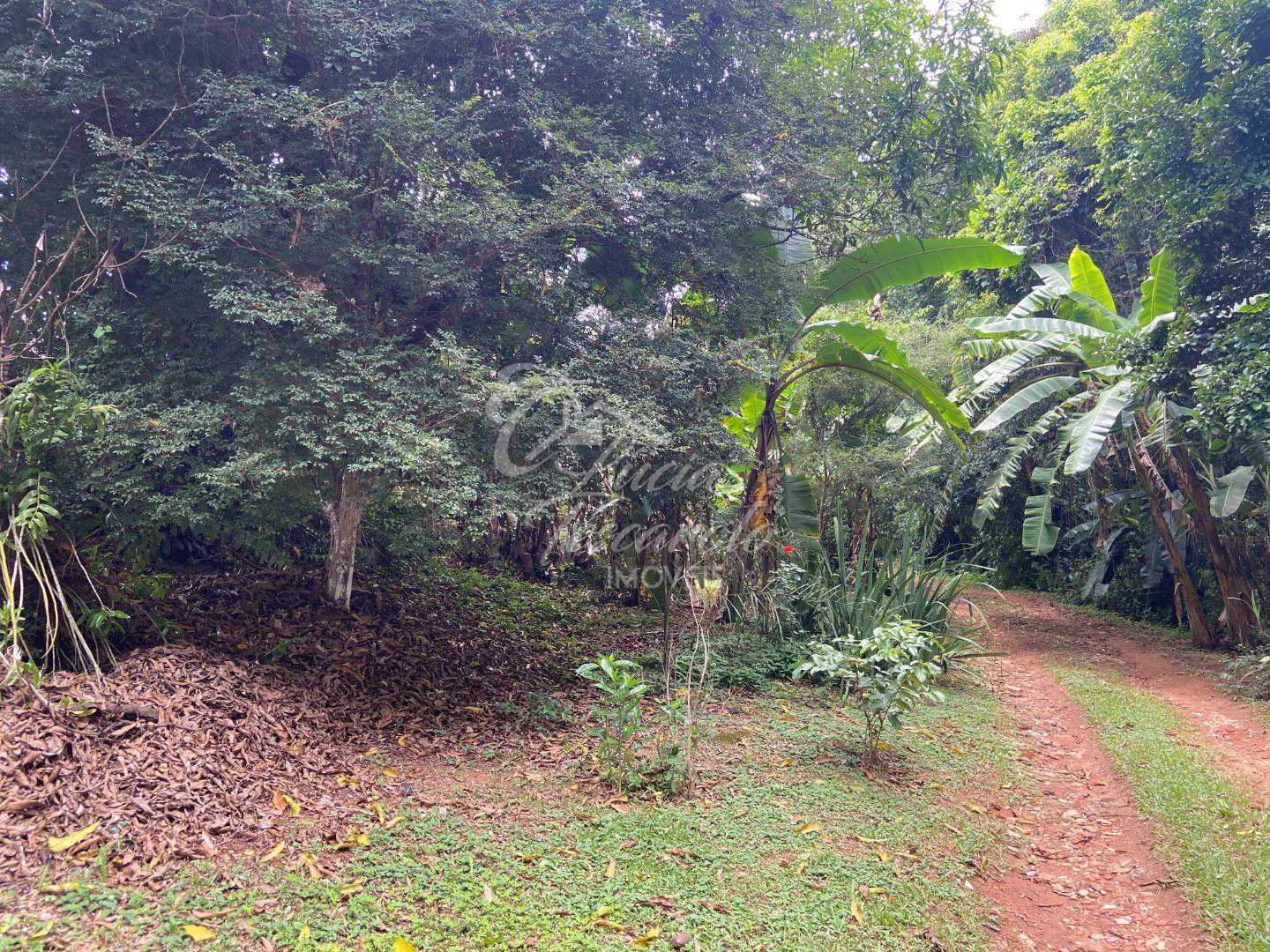 Conheça FOTO_4 do imóvel - Sítio à venda Itatiba,SP Bairro da Ponte - R$ 2.000.000 - SI0002 - 5 FOTO_4 - 5