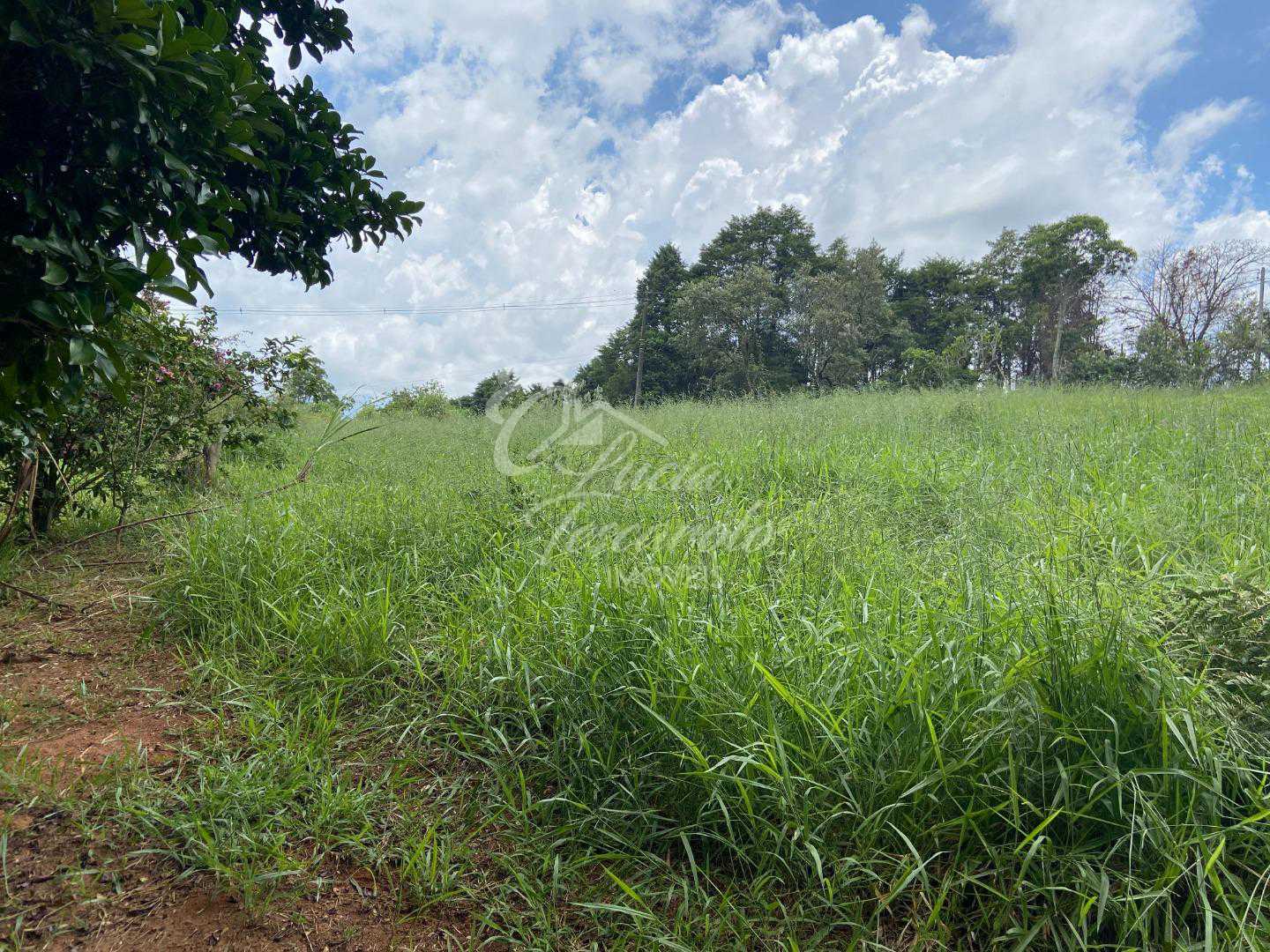 Conheça FOTO_9 do imóvel - Sítio à venda Itatiba,SP Bairro da Ponte - R$ 2.000.000 - SI0002 - 10 FOTO_9 - 10