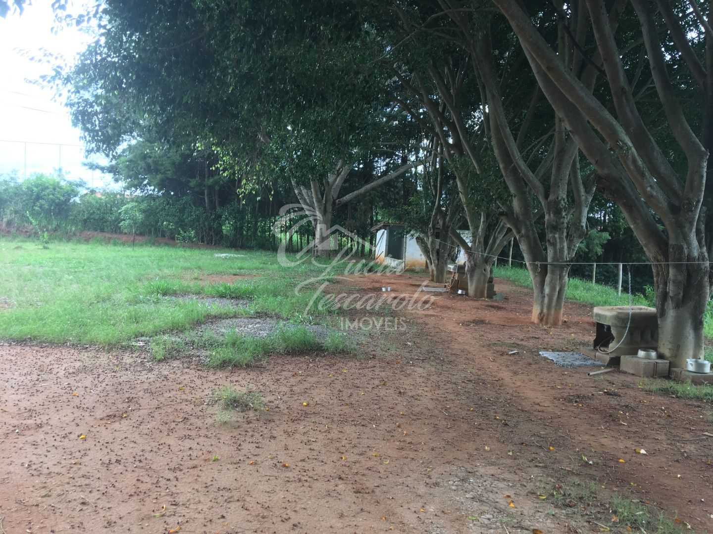 FOTO_1 - 1