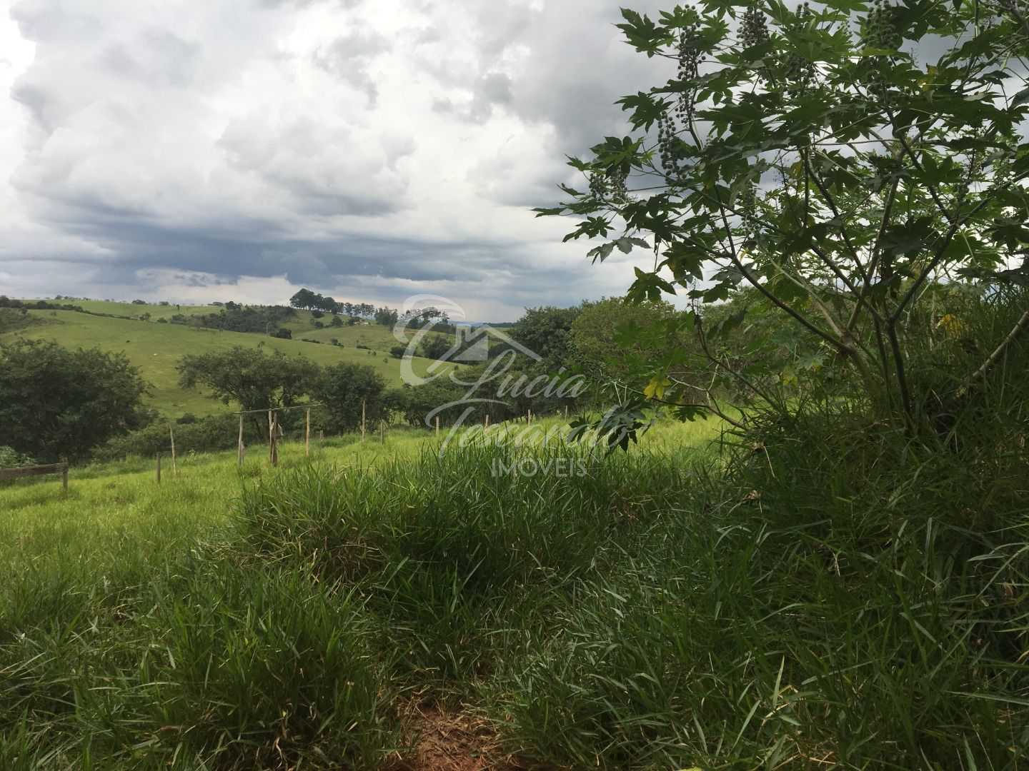 FOTO_5 - 6