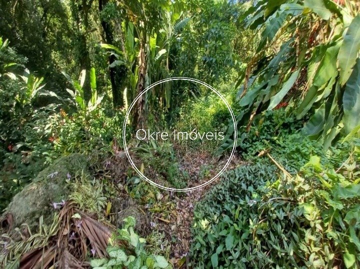 FOTO_1 - 1