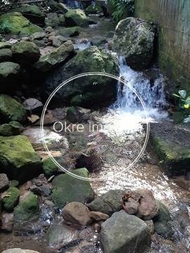 FOTO_6 - 6