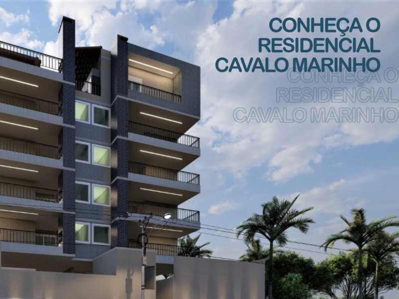 Cavalo Marinho - 2