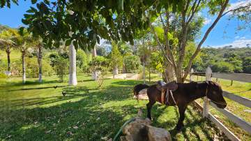 ACEITA PERMUTA - Fazenda 70 ha. com 3 casas a 2 km de Sao Bartolomeu, em Ouro Preto - MBFA60002
