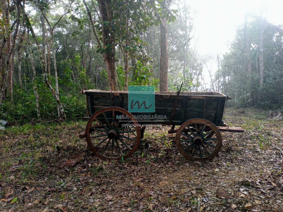 Carroça Inconfidentes - 21