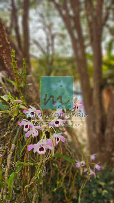 20240824_113210 - 24