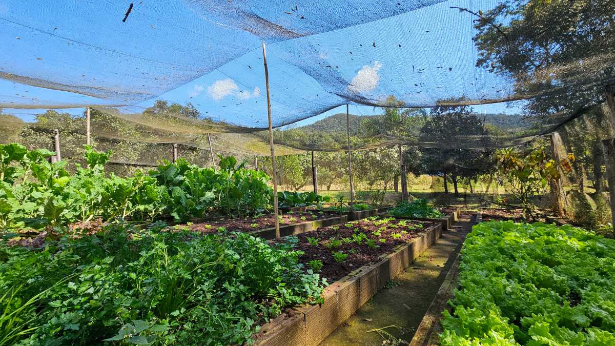 ESCRITURA E REGISTRO - Sítio 128600m² à venda Ouro Preto,MG Glaura - MBSI60003