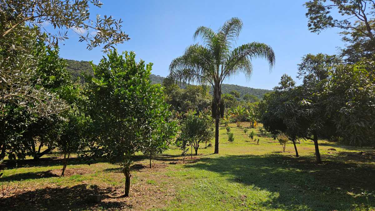 ESCRITURA E REGISTRO - Sítio 128600m² à venda Ouro Preto,MG Glaura - MBSI60003