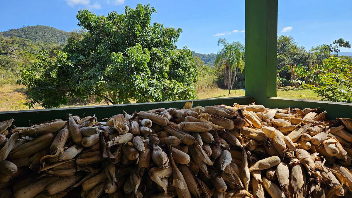 ESCRITURA E REGISTRO - Sítio 128600m² à venda Ouro Preto,MG Glaura - MBSI60003