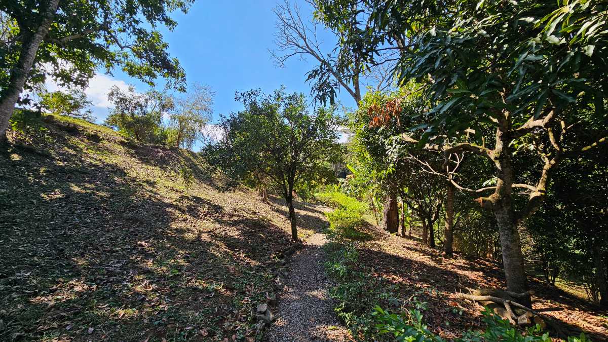 ESCRITURA E REGISTRO - Sítio 128600m² à venda Ouro Preto,MG Glaura - MBSI60003