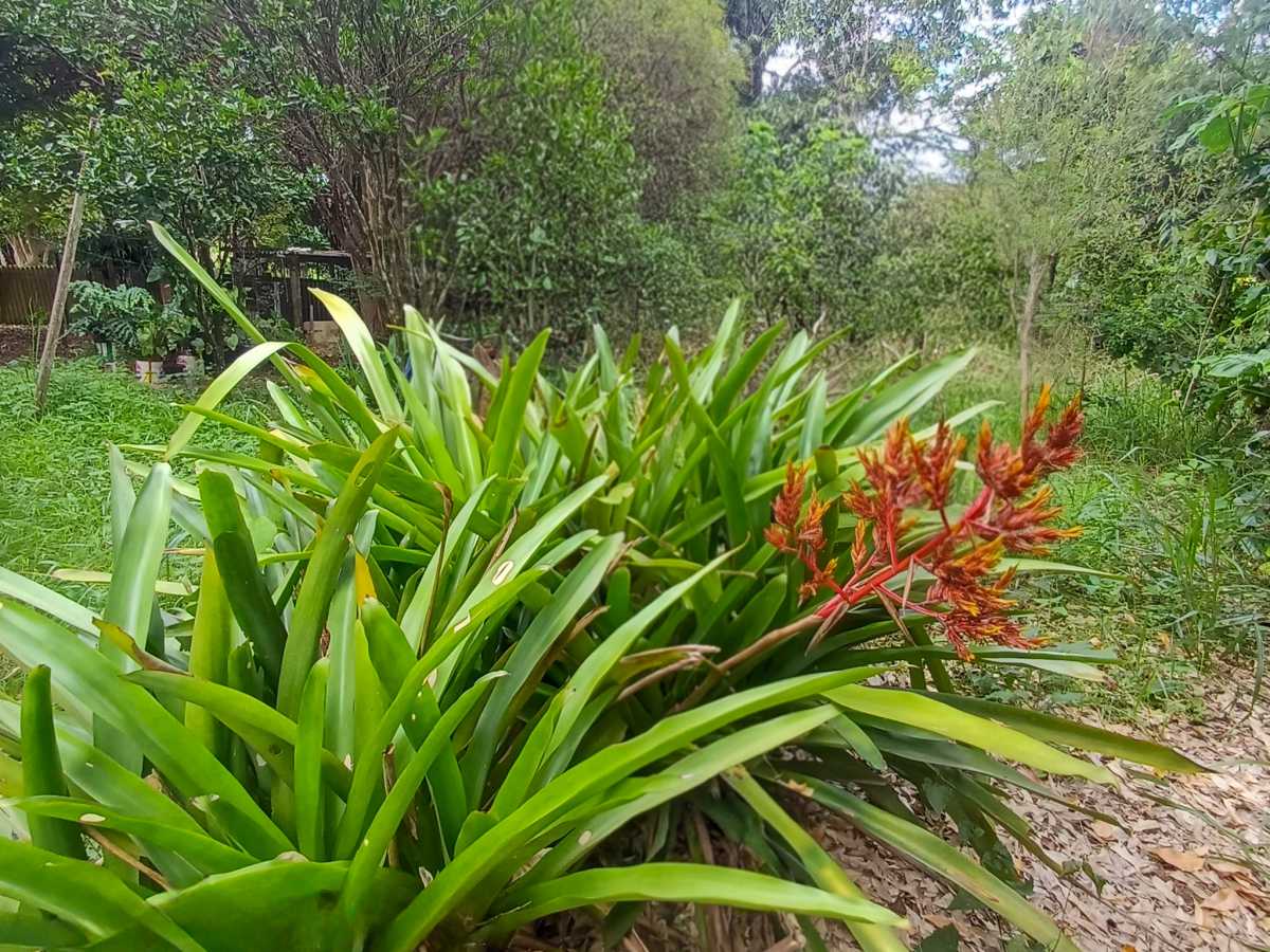 IMG-20260120-WA00471 - 7