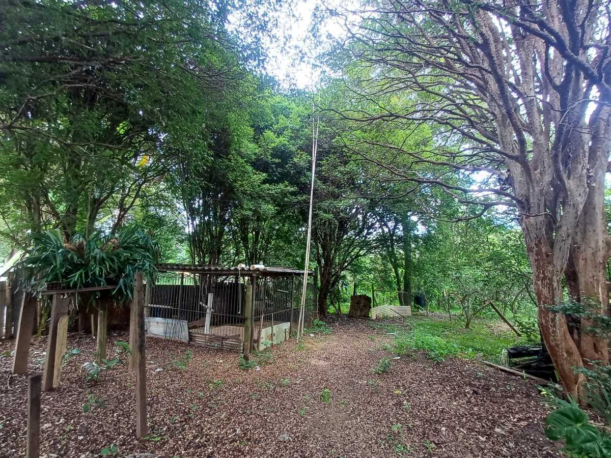 IMG-20260120-WA0098 - 11