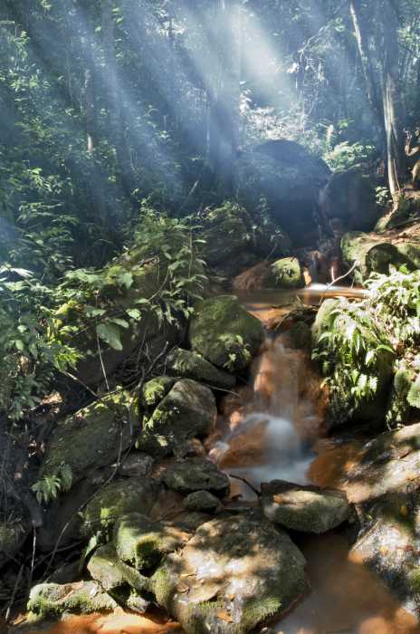 33._DSC5042 Cascata_Easy-Resiz - 10