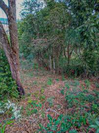 Lote à venda Ouro Preto,MG Cachoeira do Campo - R$ 80.000 - MBLT00001