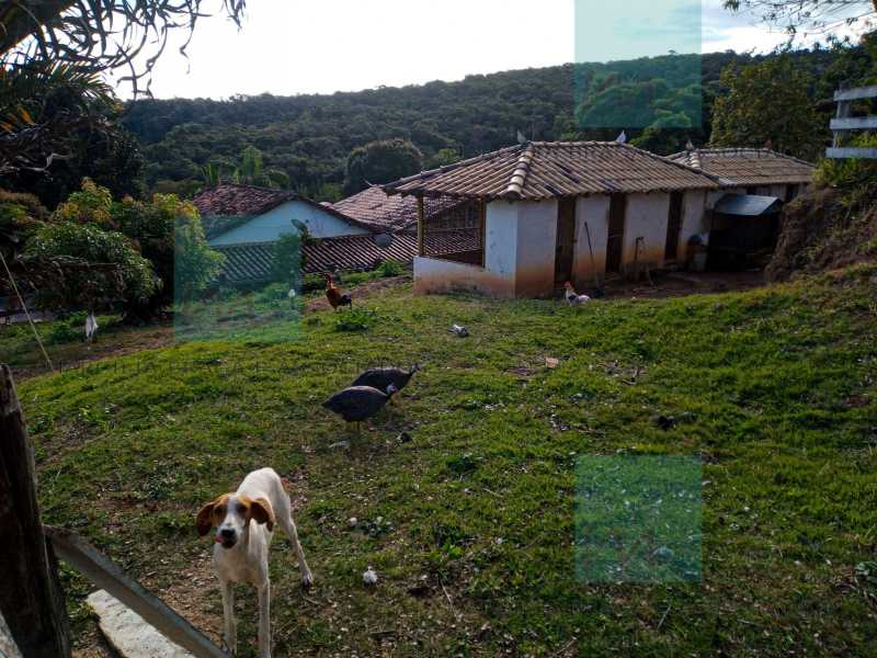 WhatsApp Image 2022-10-29 at 1 - 12