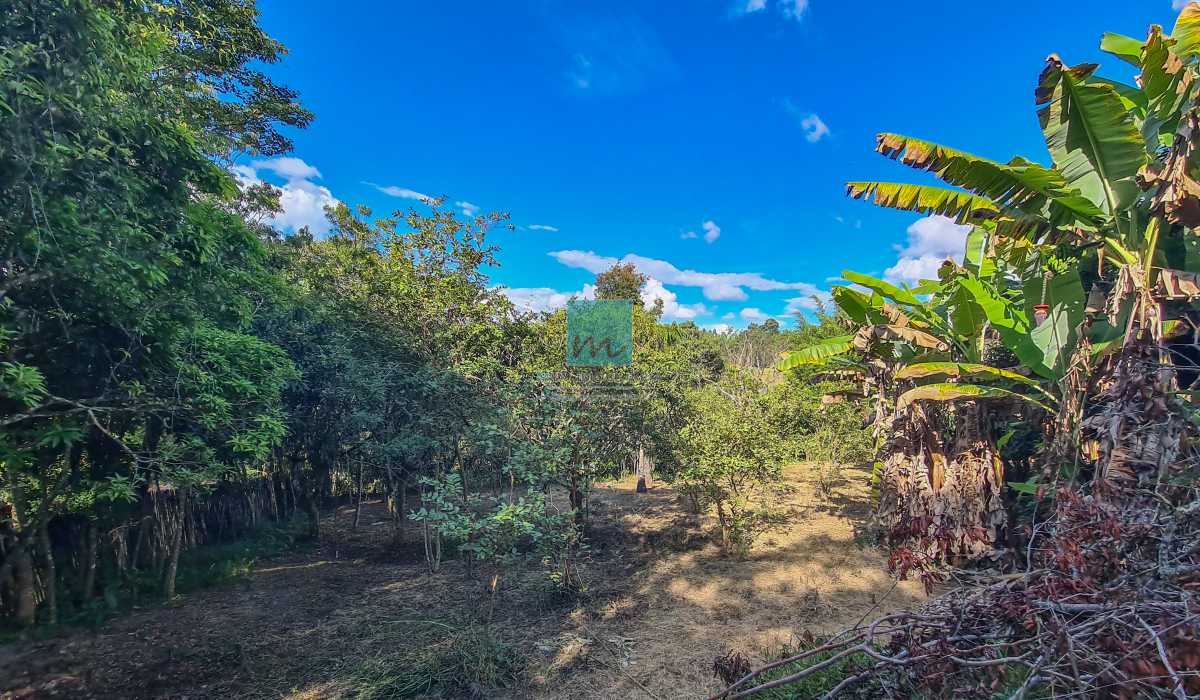 Conheça 20230427_150407 do imóvel - Sitio dentro da área urbana em Santo Antônio do Leite, Ouro Preto - MBTR00001 - 5 20230427_150407 - 5