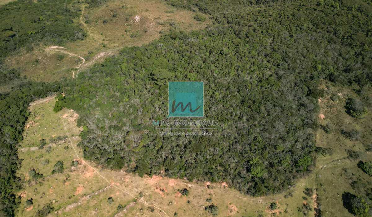 dji_fly_20230610_111810_349_16 - 5