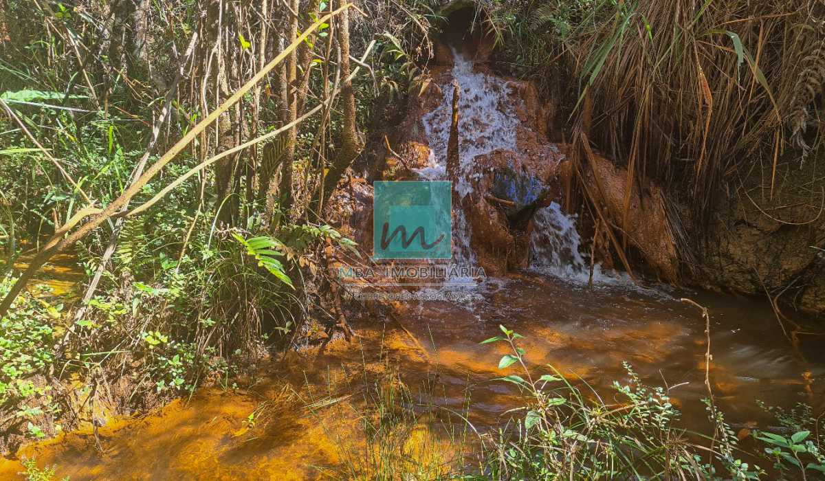 20230610_110403 - 10