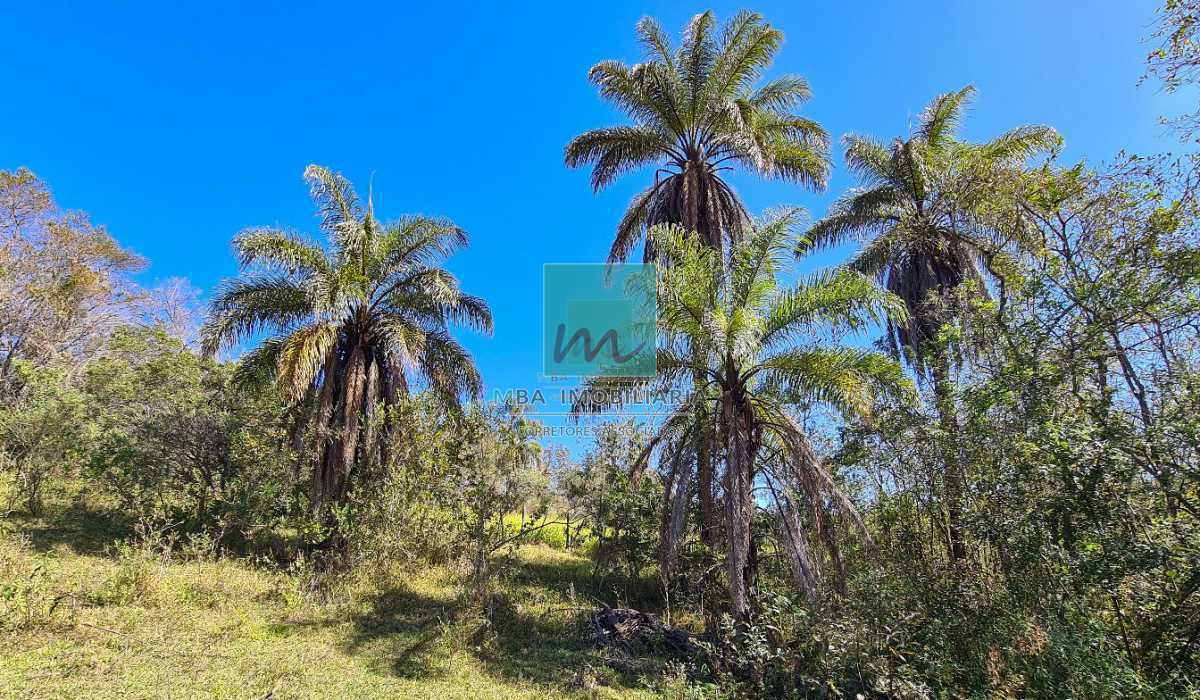 20230610_111046 - 11