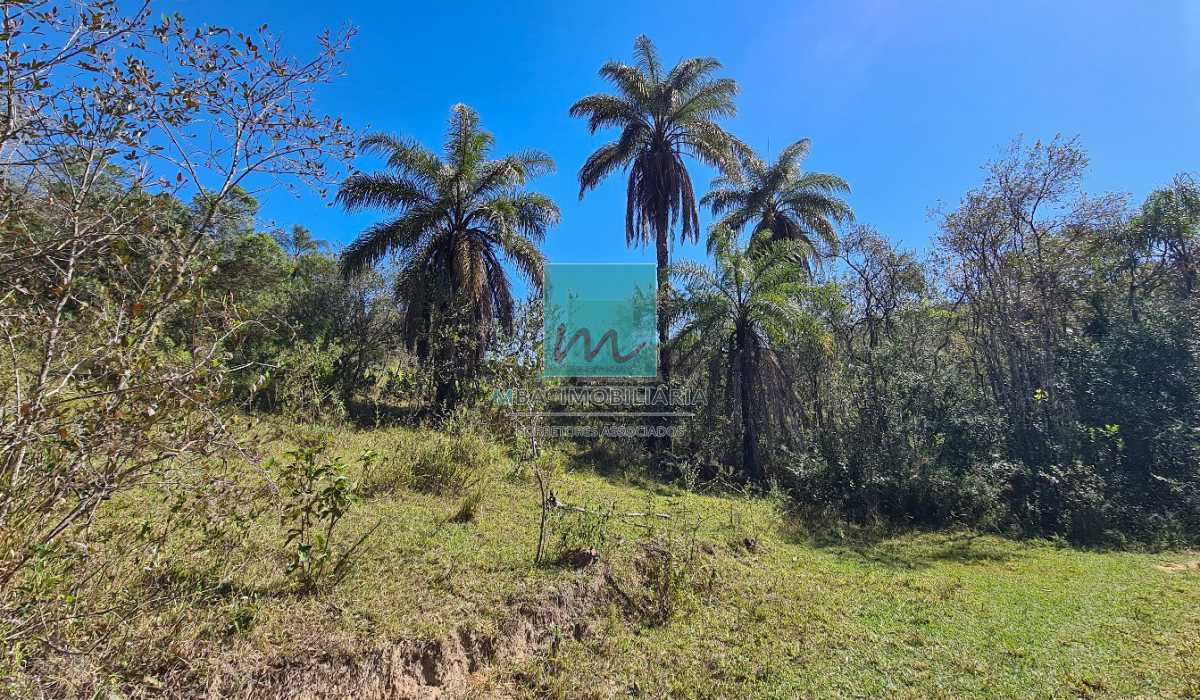 20230610_111107 - 12