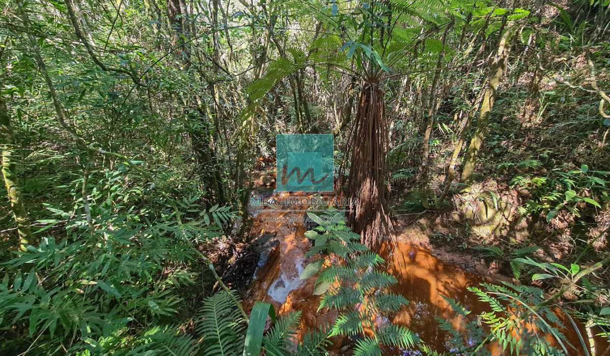 20230610_111422 - 13