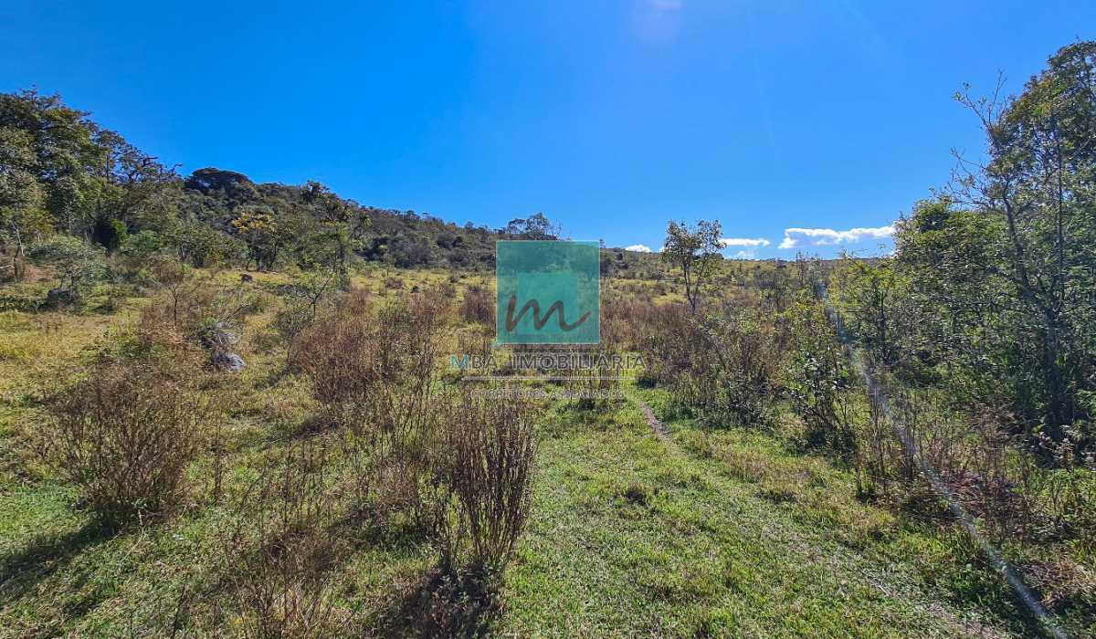 20230610_113433 - 17