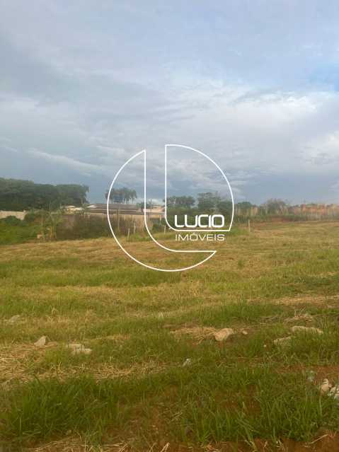 WhatsApp Image 2025-01-30 at 1 - 1