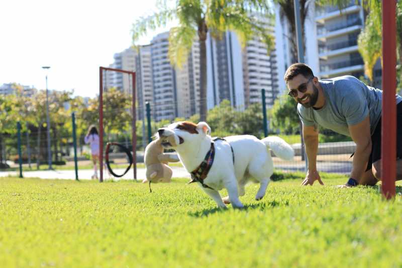 Pet_place_2 - 3