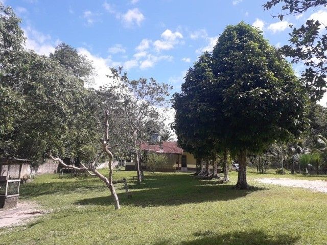 FOTO_12 - 12