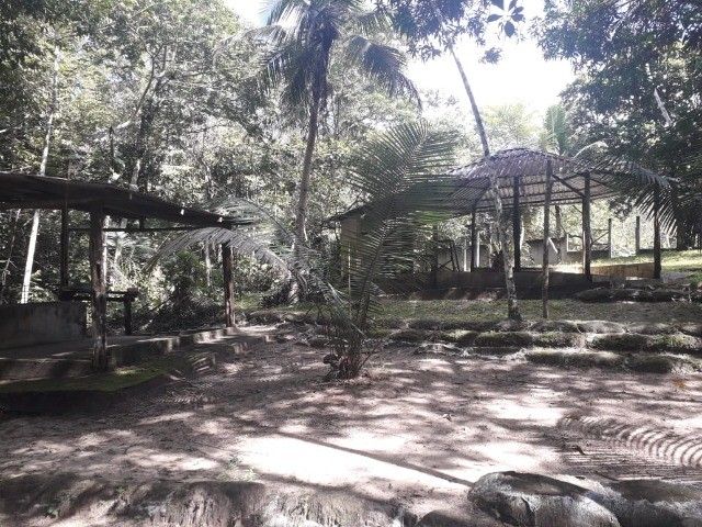 FOTO_16 - 16