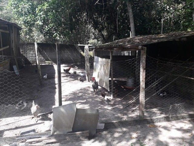 FOTO_17 - 17