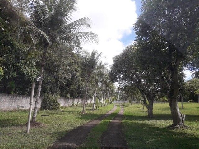FOTO_18 - 18