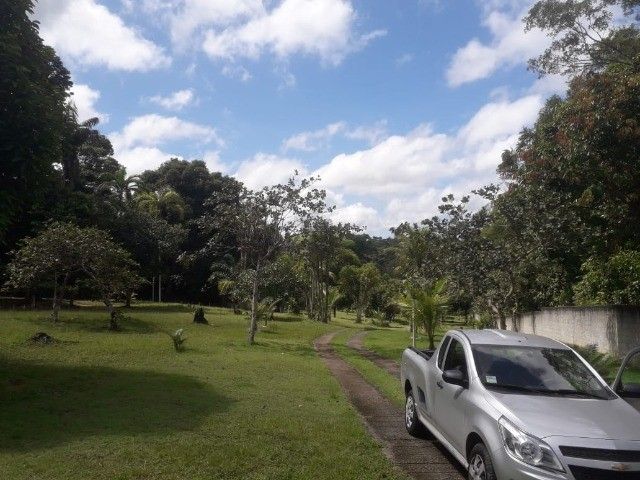 FOTO_19 - 19