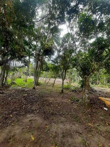 FOTO_3 - 3
