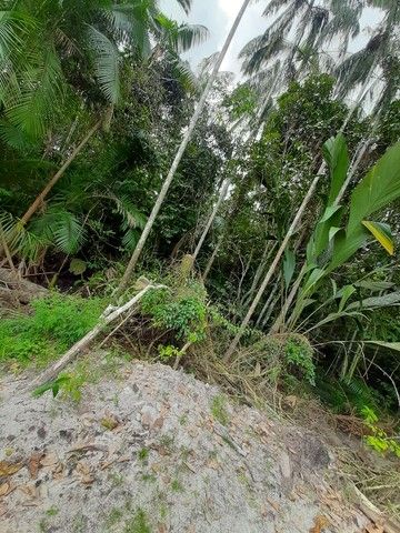 FOTO_4 - 4