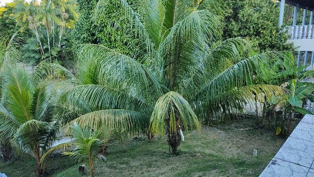 FOTO_6 - 6