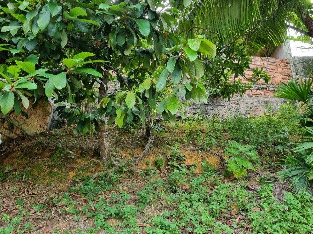 FOTO_13 - 13