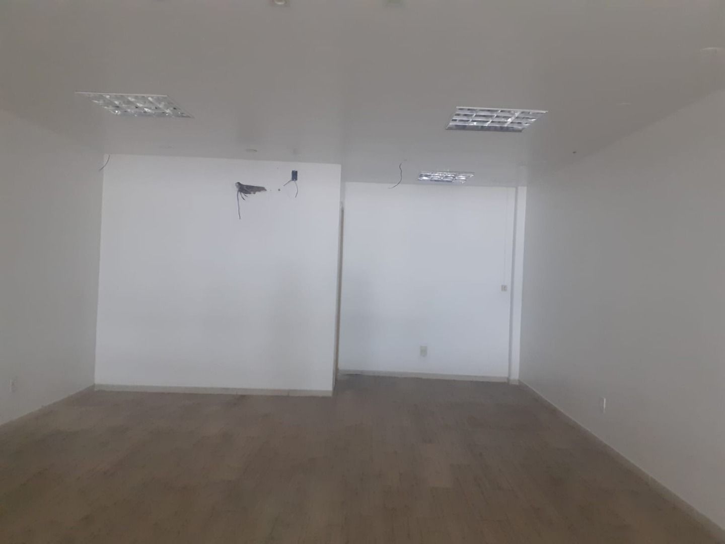 FOTO_1 - 1