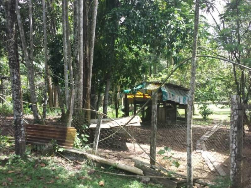 FOTO_11 - 11