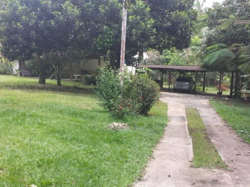 FOTO_12 - 12