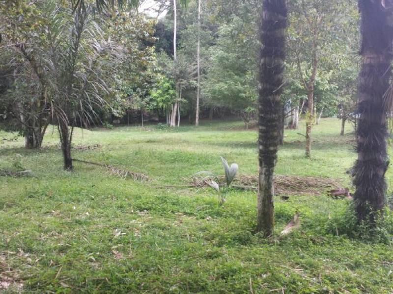 FOTO_5 - 5