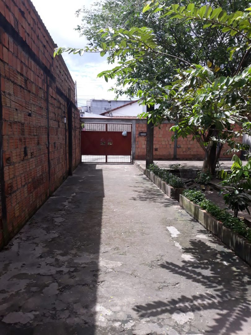 FOTO_6 - 6
