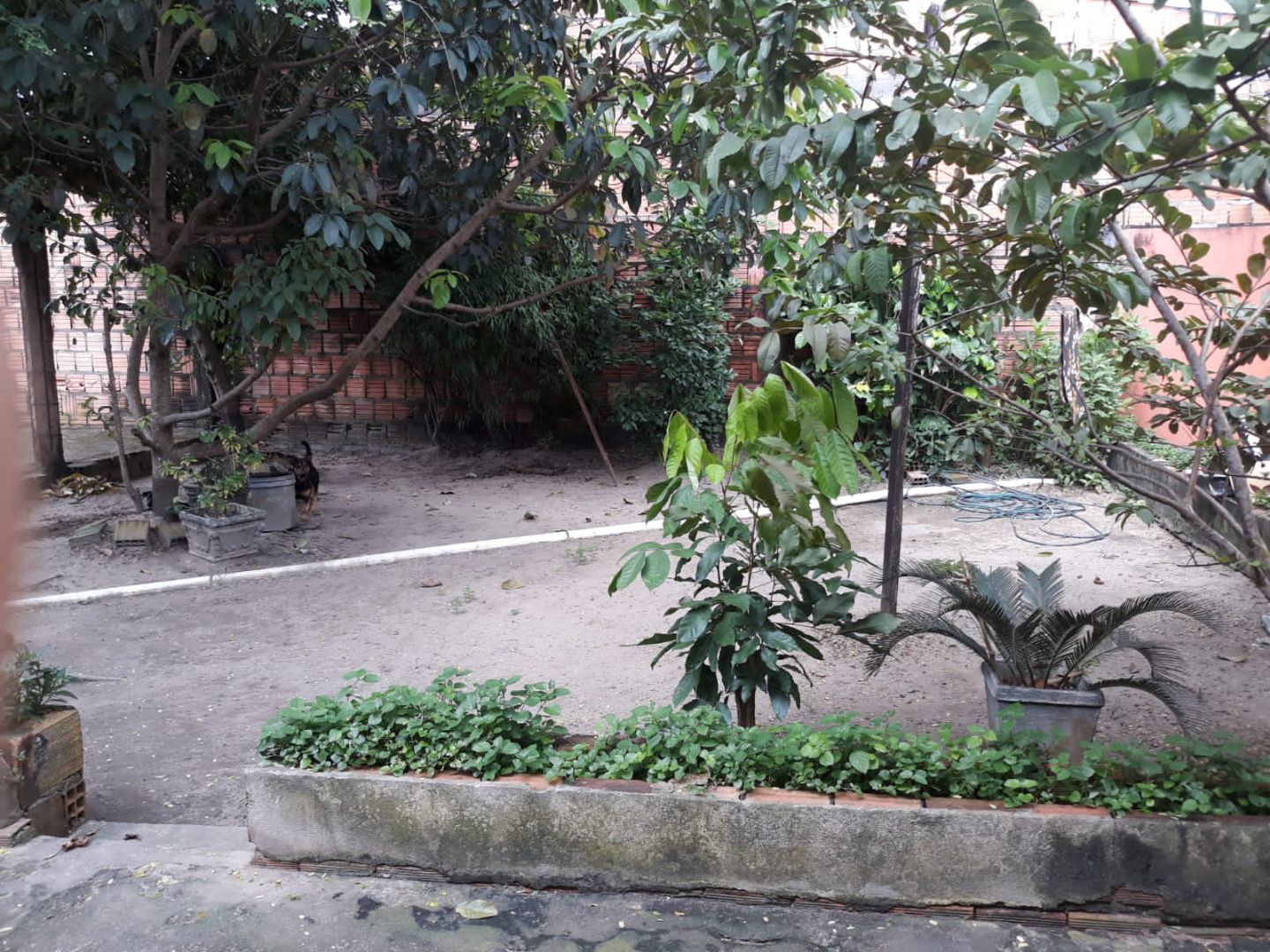 FOTO_7 - 7
