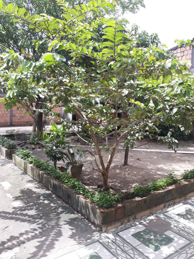 FOTO_9 - 9