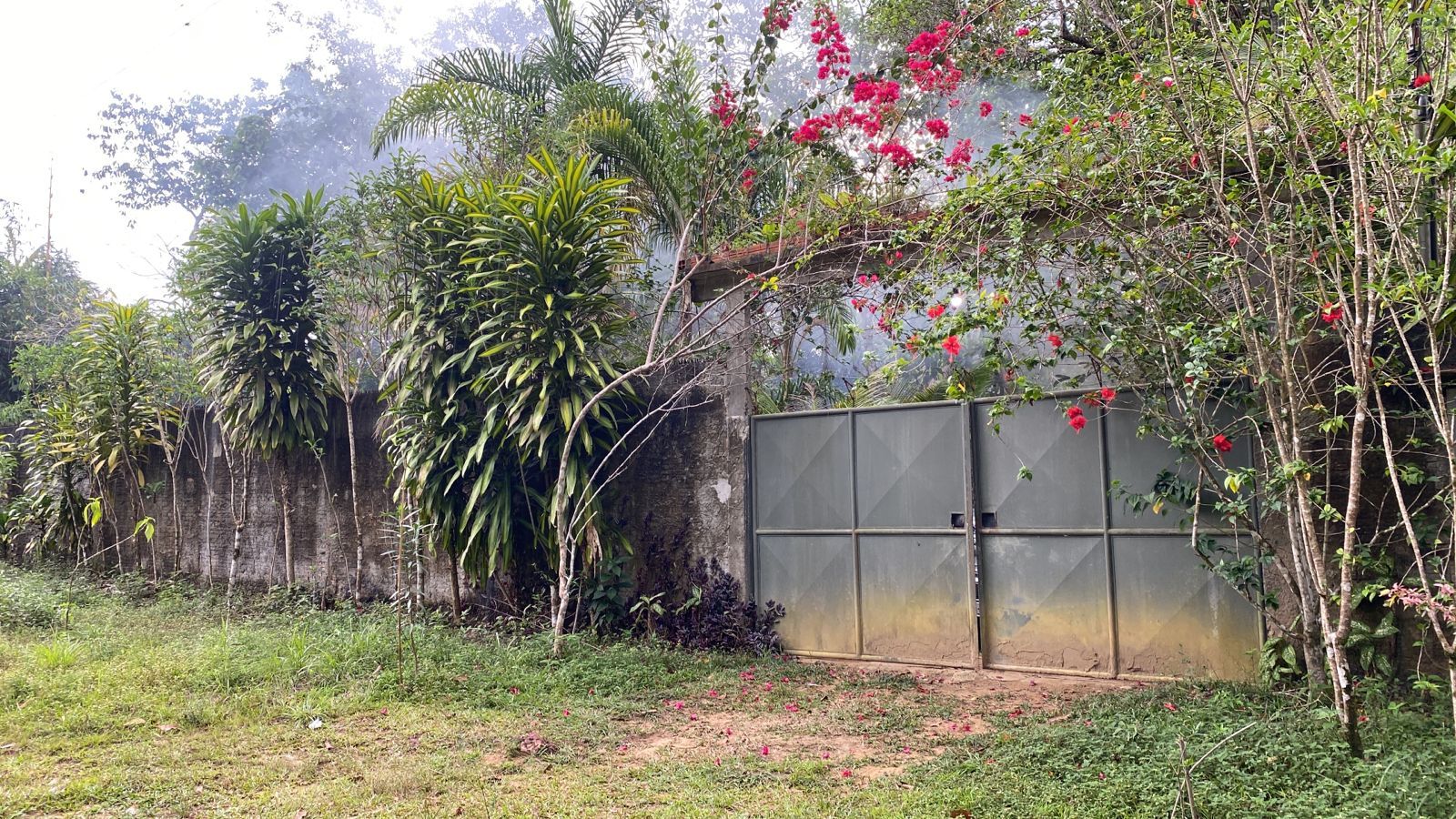 FOTO_1 - 1