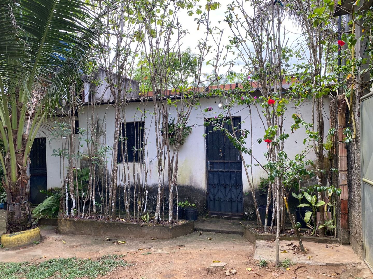 FOTO_6 - 6